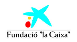 Fundació "la Caixa" logo